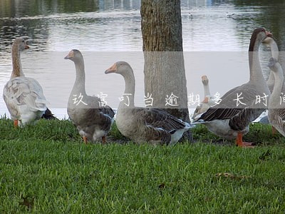 玖富叮当逾期多长时间 玖富叮当逾期多长时间