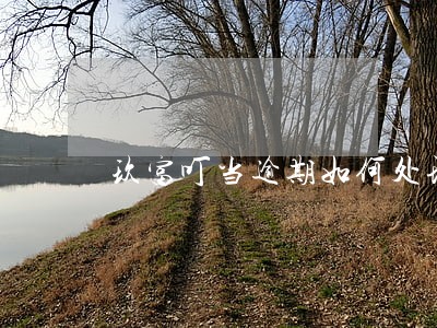 玖富叮当逾期如何处理 玖富叮当逾期如何处理