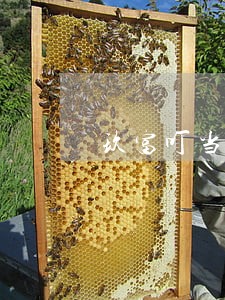 玖富叮当逾期第一天 玖富叮当逾期第一天