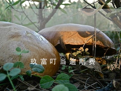 玖富叮当逾期费 玖富叮当逾期费