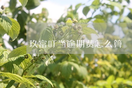 玖富叮当逾期费怎么算 玖富叮当逾期费怎么算