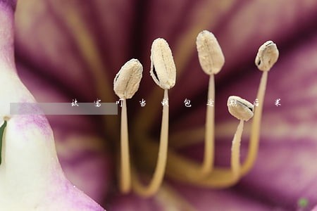 玖富叮当钱包逾期后果 玖富叮当钱包逾期后果
