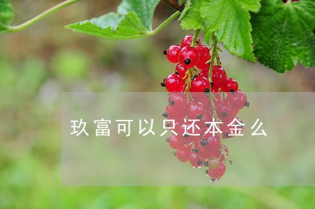 玖富可以只还本金么 玖富可以只还本金么