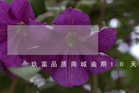 玖富品质商城逾期10天 玖富品质商城逾期10天