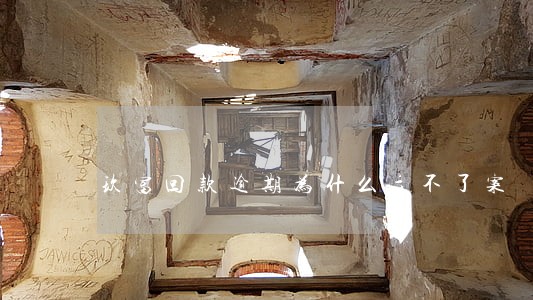 玖富回款逾期为什么立不了案 玖富回款逾期为什么立不了案