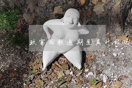 玖富回款逾期是真升级吗 玖富回款逾期是真升级吗