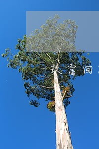 玖富回款逾期最新 玖富回款逾期最新