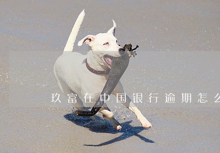 玖富在中国银行逾期怎么还款 玖富在中国银行逾期怎么还款