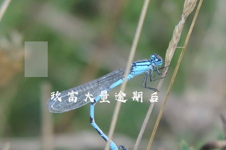 玖富大量逾期后 玖富大量逾期后
