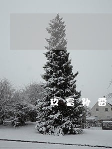 玖富孙雷付逾期回款说法