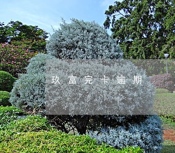 玖富完卡逾期