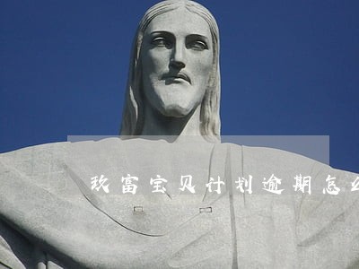 玖富宝贝计划逾期怎么办 玖富宝贝计划逾期怎么办