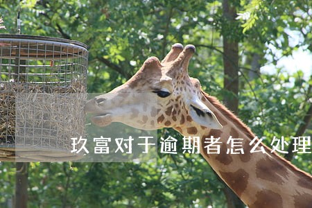 玖富对于逾期者怎么处理 玖富对于逾期者怎么处理