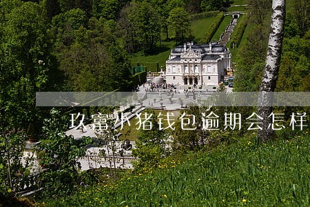 玖富小猪钱包逾期会怎样 玖富小猪钱包逾期会怎样