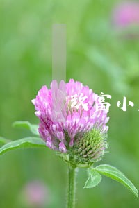 玖富小蓝卡逾期175添 玖富小蓝卡逾期175添