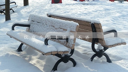 玖富小蓝卡逾期不还