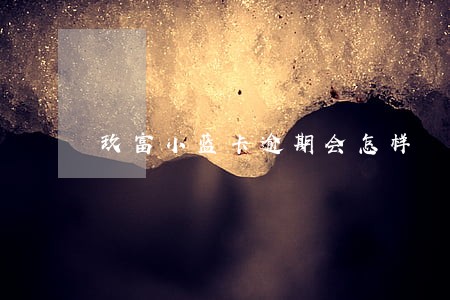 玖富小蓝卡逾期会怎样 玖富小蓝卡逾期会怎样
