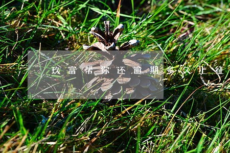 玖富帮你还逾期多久上征信 玖富帮你还逾期多久上征信