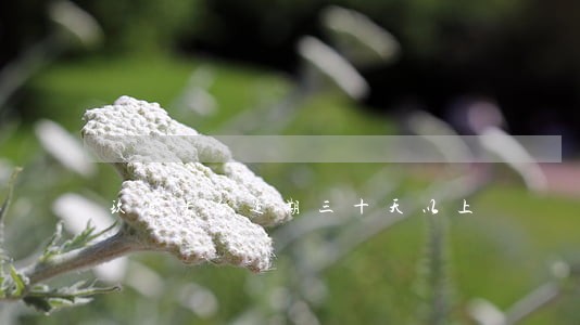 玖富平台逾期三十天以上 玖富平台逾期三十天以上