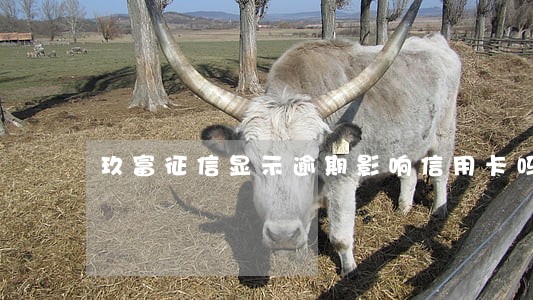 玖富征信显示逾期影响信用卡吗 玖富征信显示逾期影响信用卡吗