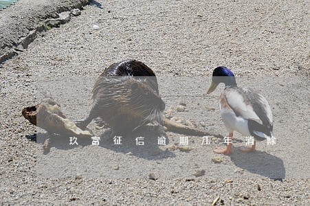 玖富征信逾期几年消除 玖富征信逾期几年消除