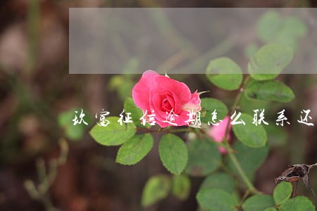 玖富征信逾期怎么联系还款 玖富征信逾期怎么联系还款