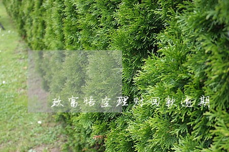玖富悟空理财回款逾期 玖富悟空理财回款逾期
