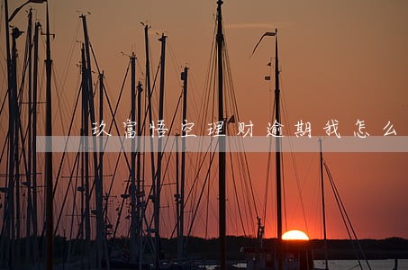 玖富悟空理财逾期我怎么办 玖富悟空理财逾期我怎么办