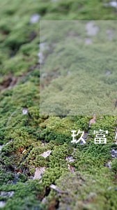玖富悟空逾期回款有用吗 玖富悟空逾期回款有用吗