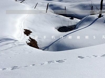 玖富手机分期逾期5天 玖富手机分期逾期5天
