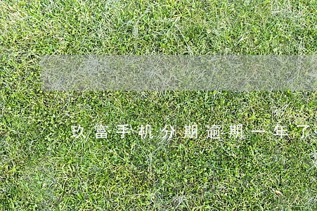 玖富手机分期逾期一年了