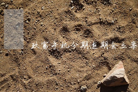 玖富手机分期逾期会立案吗 玖富手机分期逾期会立案吗