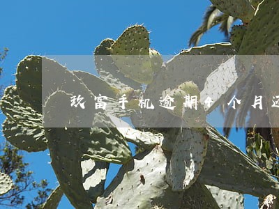 玖富手机逾期4个月还款 玖富手机逾期4个月还款