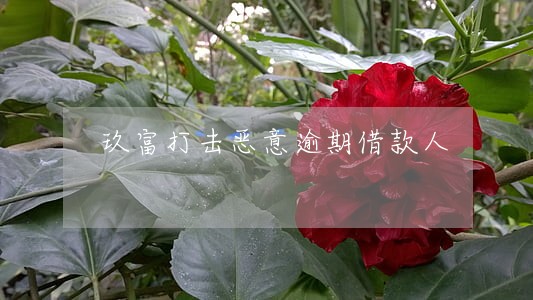 玖富打击恶意逾期借款人 玖富打击恶意逾期借款人