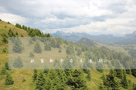 玖富新手专享逾期 玖富新手专享逾期