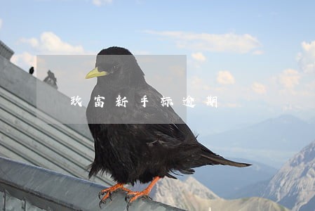 玖富新手标逾期 玖富新手标逾期