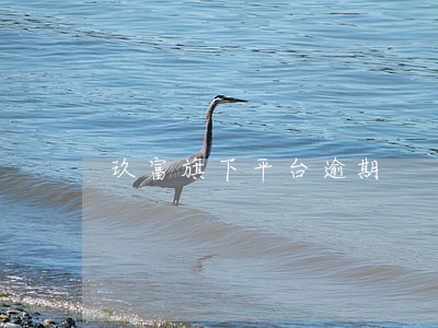 玖富旗下平台逾期 玖富旗下平台逾期