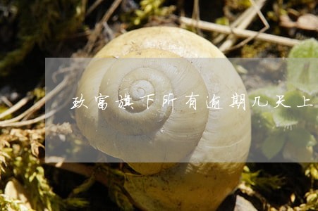 玖富旗下所有逾期几天上征信 玖富旗下所有逾期几天上征信