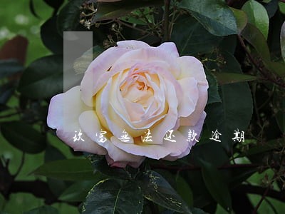 玖富无法还款逾期 玖富无法还款逾期