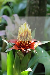 玖富是什么时候逾期的 玖富是什么时候逾期的