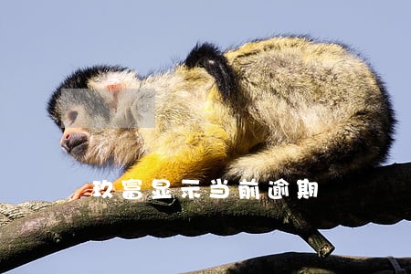 玖富显示当前逾期 玖富显示当前逾期