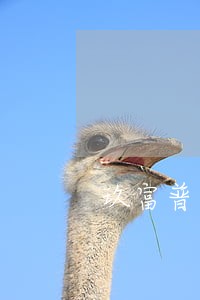 玖富普惠发短信说我逾期 玖富普惠发短信说我逾期
