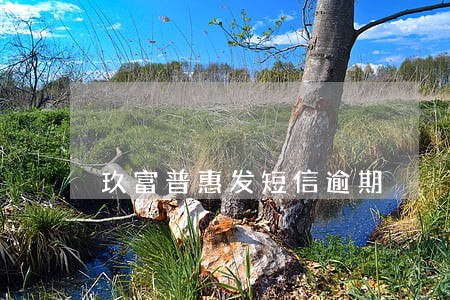 玖富普惠发短信逾期 玖富普惠发短信逾期