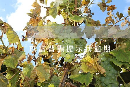 玖富普惠提示我逾期 玖富普惠提示我逾期