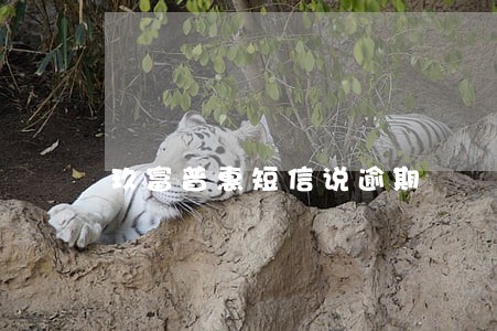 玖富普惠短信说逾期 玖富普惠短信说逾期