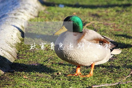 玖富普惠逾期不回款 玖富普惠逾期不回款