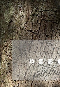 玖富普惠逾期去哪里还款 玖富普惠逾期去哪里还款