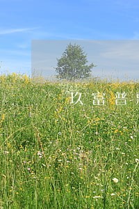 玖富普惠逾期只还本金 玖富普惠逾期只还本金