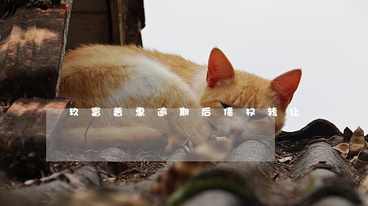 玖富普惠逾期后债权转让