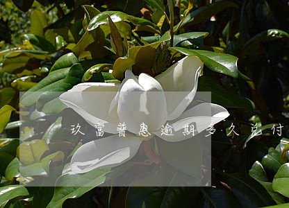 玖富普惠逾期多久兑付 玖富普惠逾期多久兑付